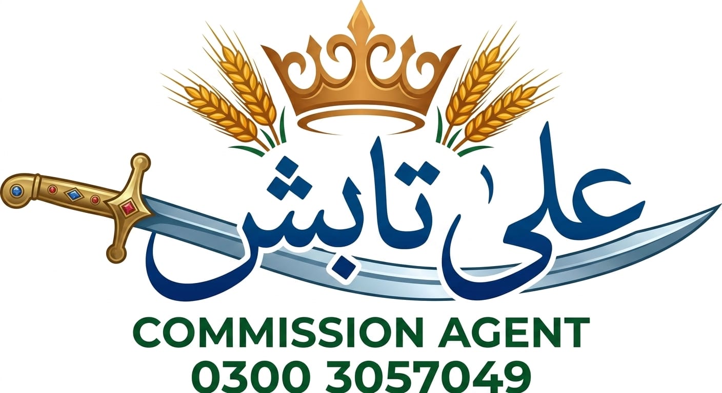 Ali Tabish Commission Agent